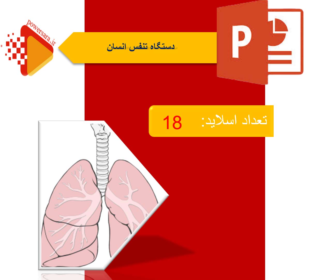 پاورپوینت در مورد دستگاه تنفس انسان